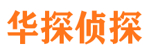 齐河市私家侦探